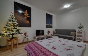 Postel nebo postele na pokoji v ubytování Apartmán Tatranská Lomnica