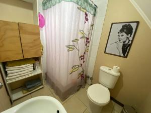 un bagno con un water e una tenda da doccia di Refugio urbano a Villarrica