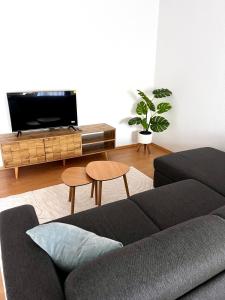 een woonkamer met een bank en een flatscreen-tv bij City Appartment Neuss in Neuss