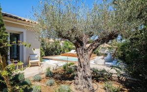 ein Baum in einem Garten neben einem Pool in der Unterkunft Luxurious new villa pool golf St Tropez in Sainte-Maxime