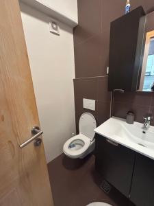 ein Badezimmer mit Toilette und Waschbecken in der Unterkunft Sunny Escape Bjelašnica in Ivišovo Greblje