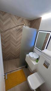 a small bathroom with a toilet and a shower at AVS Concept Obor in Bucharest +15 photos