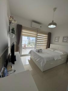 a bedroom with a bed and a desk and a window at Caesar Resort & SPA & Apartments Spacious Studio in Avgorou