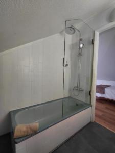 a bath tub with a shower in a room at Hostel Rosa in São Pedro de Moel