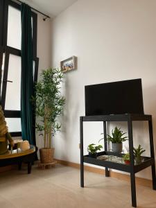 a living room with a tv and some plants at Castro Romano VUT 7712 AS in Gijón