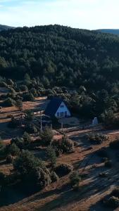 Naturlandskabet i nærheden af lejligheden