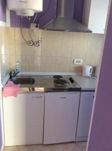 Kuchyň nebo kuchyňský kout v ubytování Apartmani Nina