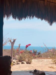 a cat laying on the ground under a straw roof at Columpio del Reptil cabaña in Mazunte +3 photos