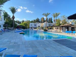 a large swimming pool with palm trees and blue chairs at Brand New Townhouse with hotel infrastructure in Paphos