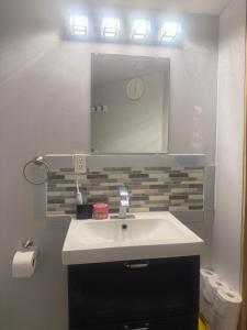 ein Badezimmer mit Waschbecken und Spiegel in der Unterkunft Hespeler Haven Hideaway in Cambridge