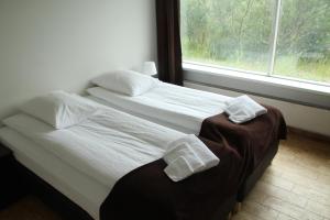 two twin beds in a room with a window at Dettifoss Guesthouse in Skinnastadur