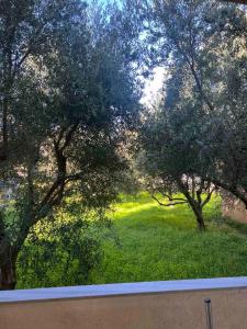 Zahrada ubytování ALIO Seaside Maisonette