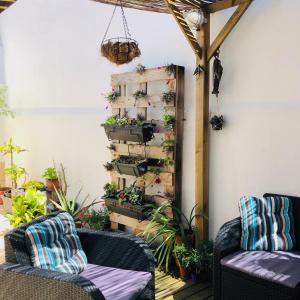 un soggiorno con 2 divani e piante in vaso di Tales Of Us Terrace ad Aveiro Altre 36 foto