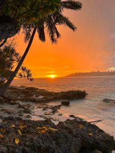 a sunset on a beach with a palm tree at M&M moanatea lodge in Rangiroa