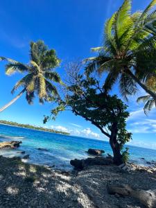 two palm trees on a beach near the ocean at M&M moanatea lodge in Rangiroa