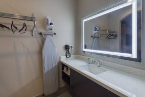 baño con lavabo y espejo grande en Econo Lodge Inn & Suites Houston NW-Cy-Fair en Houston