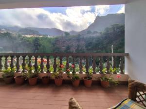 Gallery image of Narciso's House in São Vicente +35 photos