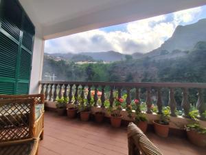 a balcony with potted plants and a view of mountains at Narciso's House in São Vicente
