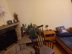 ein Wohnzimmer mit einem Stuhl und einem Kamin in der Unterkunft Owocowa Chojnata in Chojnata + 19 Fotos