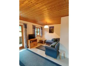 Et tv og/eller underholdning på Holiday apartment Sonnenberg