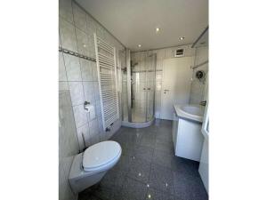 ein Badezimmer mit Toilette und Waschbecken in der Unterkunft Dahlke with fireplace and sauna in Kleinweidelbach + 29 Fotos