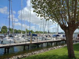 Udsigt til en flod der løber i nærheden af feriehuset