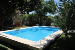 een zwembad in een tuin met een kroonluchter bij Mallki bungalows with pool in Vichayito