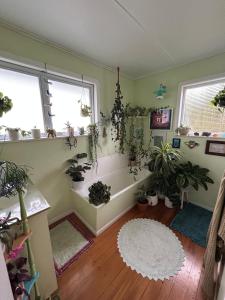 Ảnh trong thư viện ảnh của The Cactus House ở Coromandel Town +6 ảnh