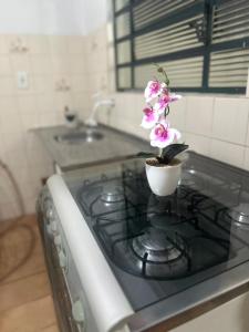 a small pot of flowers sitting on top of a stove at E Lindo Sobrado com 2 quartos em condomínio - Centro in Marília