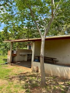 a building with a picnic table and a tree at Pousada e Camping São José in Manhã +5 photos