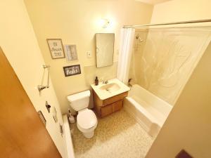 un bagno con wc, lavandino e doccia di Granite Point Resort a Loon Lake Altre 69 foto