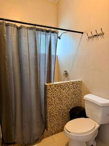 een badkamer met een douchegordijn en een toilet bij Moderna Casa Céntrica in Monterrey
