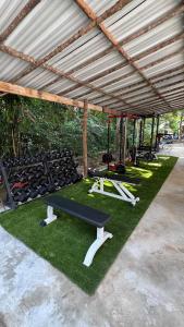 Aed väljaspool majutusasutust Nest Jungle