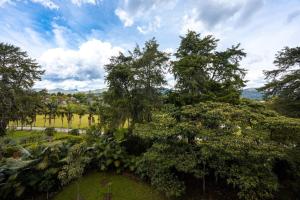 a view of a park with trees and grass at Apartamentos Casa Grande in Rionegro