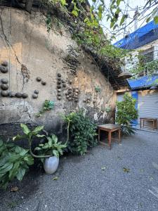 Zahrada ubytování Lanka Hotel