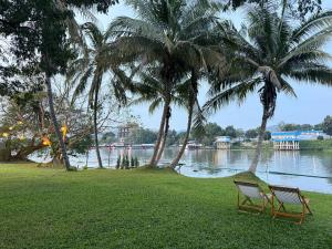 two chairs sitting next to two palm trees next to a lake at Merlin Hut & Farm in Kanchanaburi City
