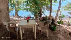 Naturlandskabet i nærheden af lejligheden