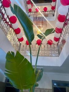 Fotografie z fotogalerie ubytování Red Vibes Hostel Marrakech v Marrákéši