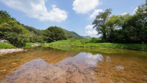 a river with a reflection in the water at yangpyeong beulleosseom pet spa pension in Yangpyeong +2 photos