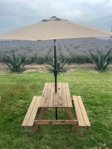 Texcoco de MoraにあるGlamping Rincón de Lavandaの木製のピクニックテーブル +5枚の写真