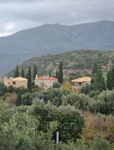 Příroda nedaleko prázdninového domu