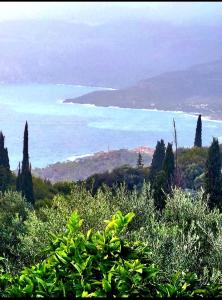 Příroda nedaleko prázdninového domu