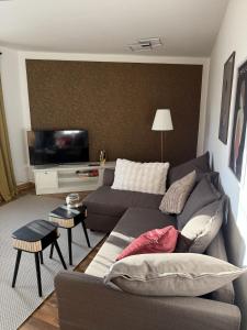 un salon avec un canapé et une télévision dans l'établissement Apartment nahe Senftenberger See - Wohnung 2, à Senftenberg