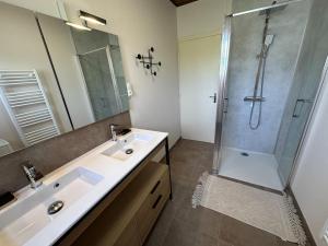 een badkamer met een wastafel en een douche bij Le gite grues cendrees in Arjuzanx +18 foto's