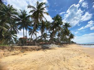 Φυσικό τοπίο κοντά σε αυτό το διαμέρισμα +15 φωτογραφίες