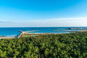 een luchtfoto van een strand en de oceaan bij Seagaia Forest Condominiums in Miyazaki +47 foto's
