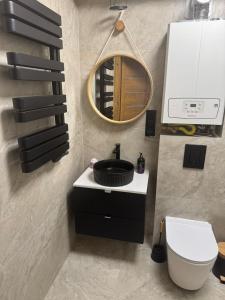 een badkamer met een wastafel, een toilet en een spiegel bij TINY HOUSE domek do wynajęcia in Olsztyn