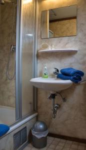 a bathroom with a sink and a shower at Haus Sternenblick 22 in Freyung