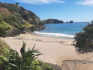 Naturlandskabet i nærheden af feriehuset + 2 billeder