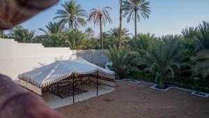 Ảnh trong thư viện ảnh của oasis of shade ở Badīyah